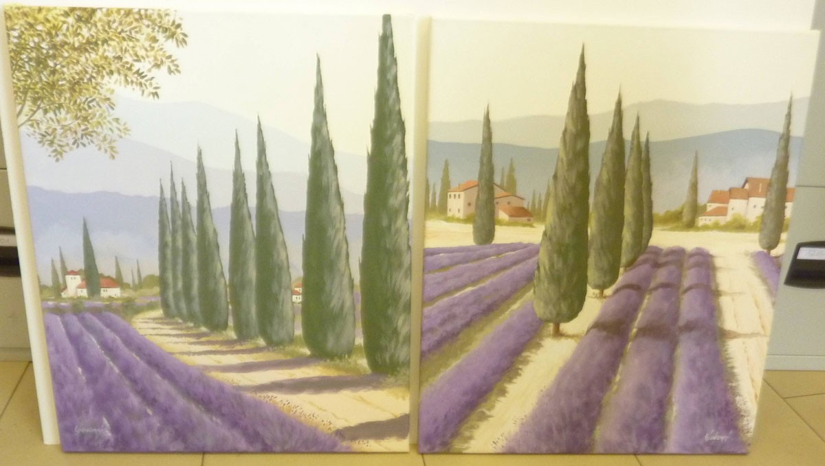 Bilder Set Lavendel