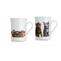 2er Set Katzen Tassen aus Porzellan 