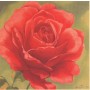 Bild "Rose in rot" in Echtholzrahmen terrafarben